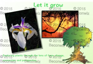 Plants -Let It Grow